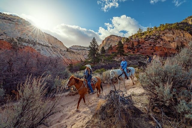 Small-Group East Zion White Mountain Horseback Ride - Photo 1 of 8